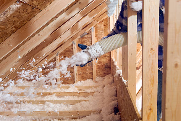 Professional Insulation Removal & Installation in Seal Beach, CA